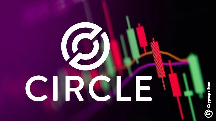 Wall Street goes cold on Circle, bets on its historic rally to stall Wall Street goes cold on Circle, bets on its historic rally to stall