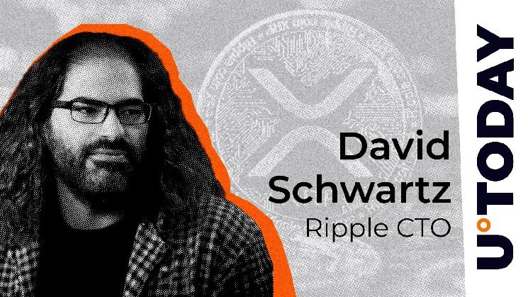 Ripple CTO Issues Crucial Instagram Warning for XRP Holders: Here's Why
