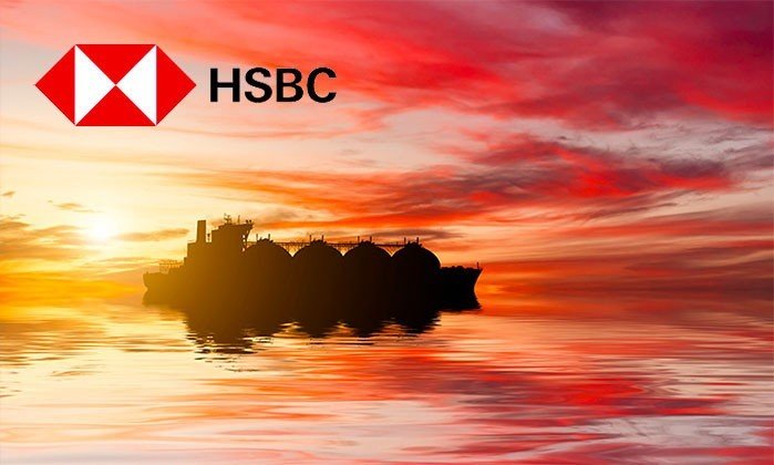 HSBC Research Mentions an Emerging Safe Haven Asset Just After Gold
