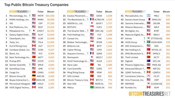 Will Bitcoin Treasury Companies Kickstart the Next Crypto Bear Market?