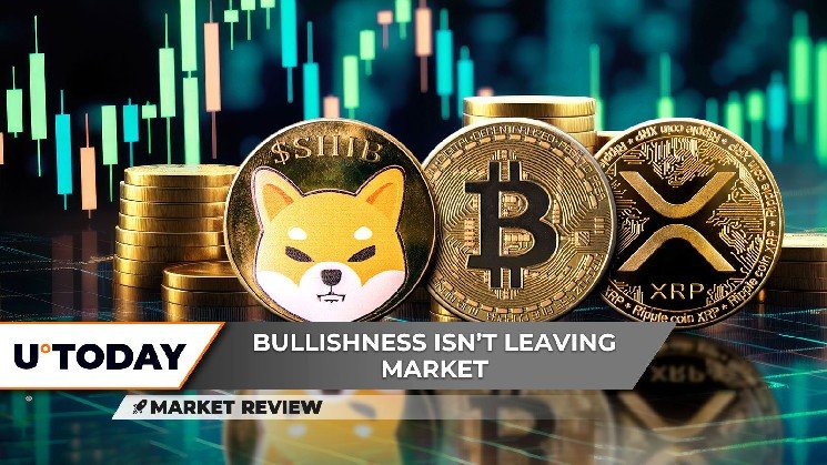 Shiba Inu (SHIB): Fundamental Shift, XRP Sky Is Not Limit Now, Bitcoin (BTC) Price Cools Down Shiba Inu (SHIB): Fundamental Shift, XRP Sky Is Not Limit Now, Bitcoin (BTC) Price Cools Down
