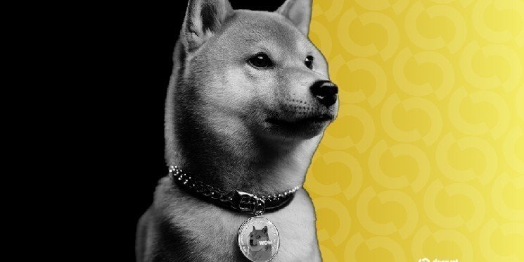 Bitcoin Treasury Firm Thumzup Considering Dogecoin, XRP Buys as Trump Jr. Invests