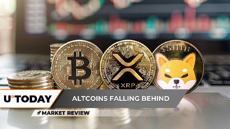Bitcoin (BTC) to $150,000, XRP Getting Oversold, Shiba Inu (SHIB): What's Next?