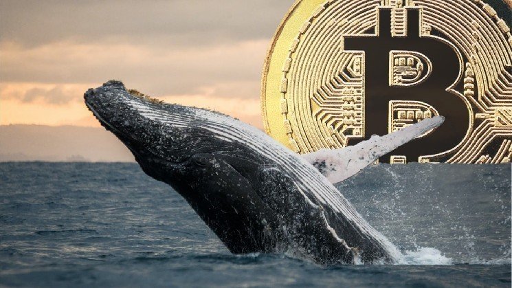 The End of an Era: The Giant Bitcoin Whale that&rsquo;s been in the Spotlight for Weeks Suddenly Disappeared &ndash; Here are the Theories