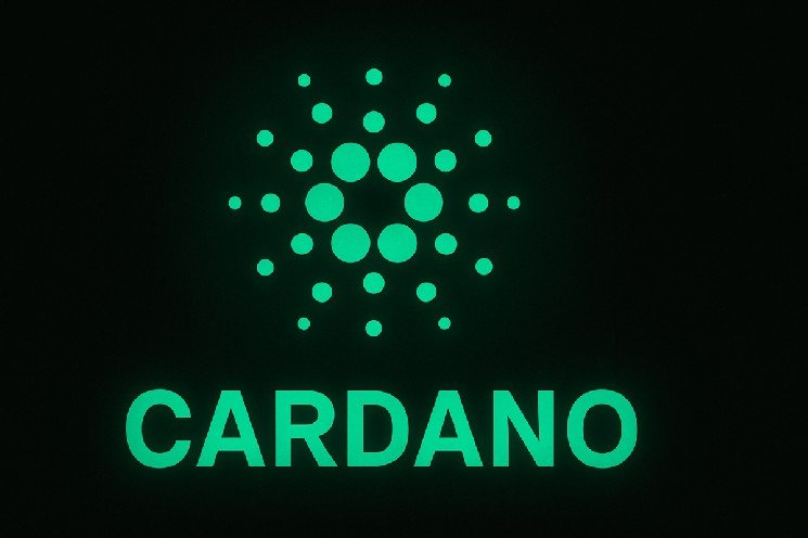 Will Cardano&rsquo;s New Developer Tools Accelerate ADA Adoption?