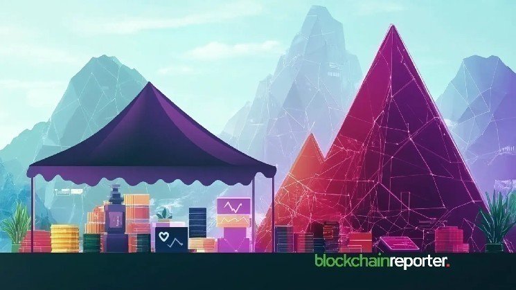 BONK and FARTCOIN Dominate the List of 8 Most Undervalued Meme Coins This Week