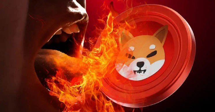 Shiba Inu Burns 600 Million Tokens in One Day