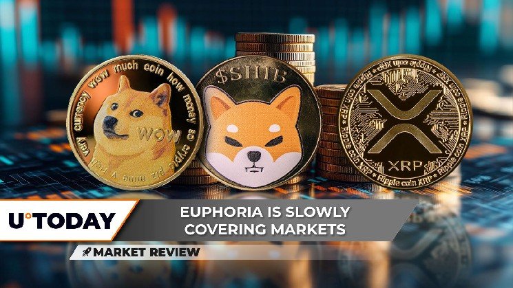 Dogecoin (DOGE): Biggest Breakout in 2025? Shiba Inu (SHIB) Must Break This, XRP Becomes Euphoric