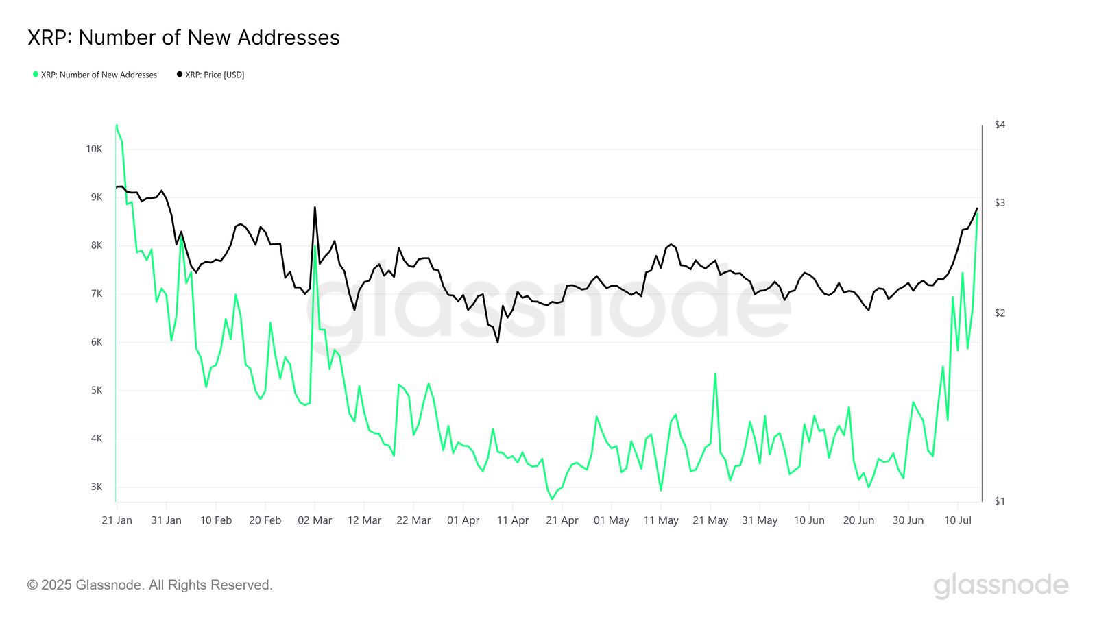 XRP Price Stands 15% From All-Time High &ndash; One Cohort Is Driving the Rally