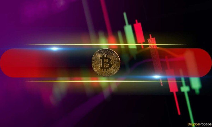These Meme Coins Explode as Bitcoin Price Eyes $120K Again: Market Watch