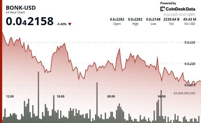 BONK Slides 6% as Sellers Dominate, Despite Growth of Bonk.fun