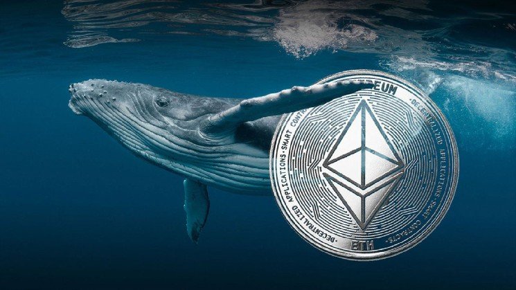 $279 Turns Into $2.2M: Ancient ETH Wallet Suddenly Awakens