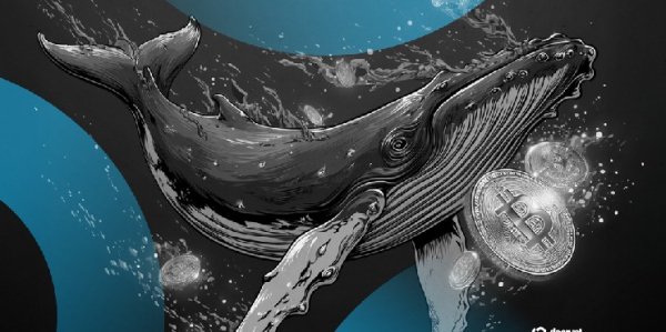 Mysterious Bitcoin Whale Moves $8 Billion in 'Largest Daily' Transfer of Old BTC in History