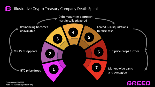 Will Bitcoin Treasury Companies Kickstart the Next Crypto Bear Market?