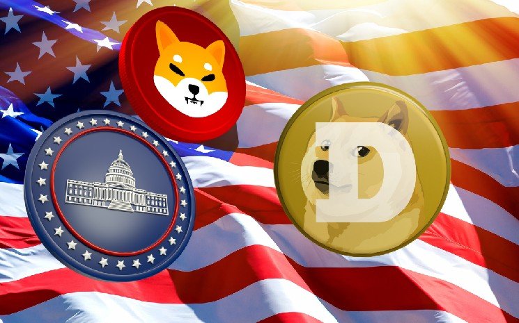 MAGACOIN FINANCE Investors Rush In After DOGECOIN&rsquo;s Price Volatility Sparks Search for Next Stable Gem