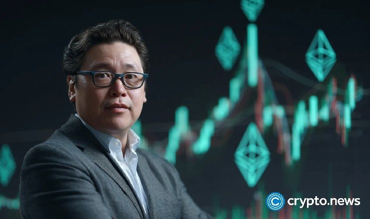 Bitmine Immersion accelerates ETH accumulation with $354.6M purchase