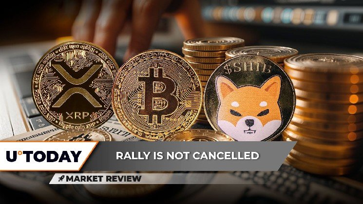 Bitcoin's 2025 Dominance Cracks, XRP: Top 5 Rally in 2025, Shiba Inu (SHIB): Key Breakthrough in Process?