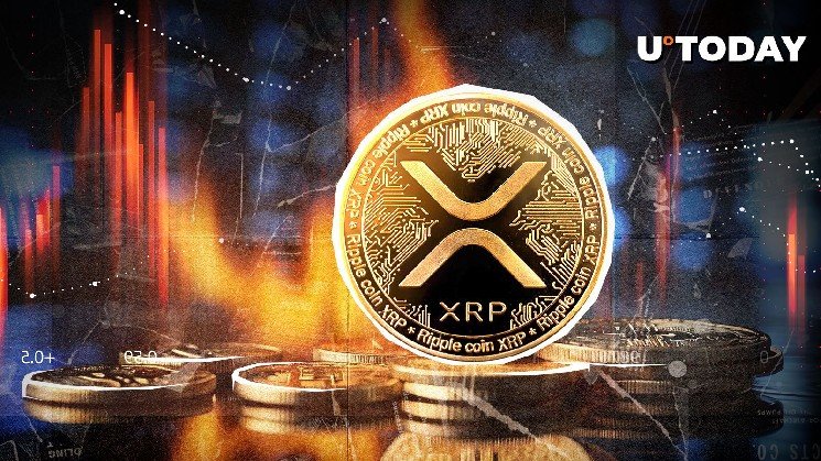 XRP Down 25.96% in Burn Activity Amid Critical Price Reversal XRP Down 25.96% in Burn Activity Amid Critical Price Reversal