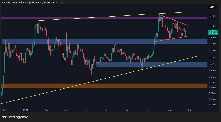 XRP at a Crossroads: $2 Crash or Explosive New All-Time High? (Ripple Price Analysis)