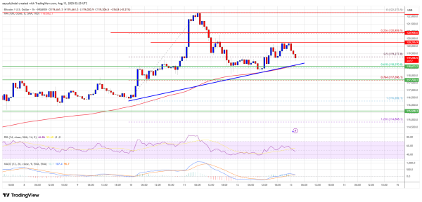 Bitcoin Price Trades Sideways Under $120K—Will Bulls Regain Control? Bitcoin Price Trades Sideways Under $120K—Will Bulls Regain Control?