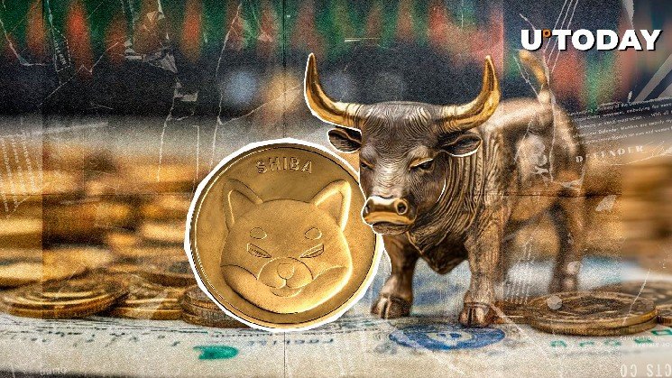 Shiba Inu Open Interest Collapses, 14.03 Trillion SHIB in Spotlight