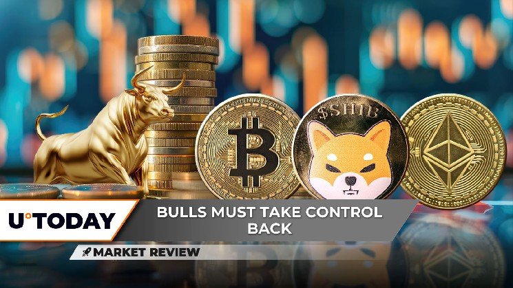 Shiba Inu (SHIB) Not Adding Zero? Bitcoin (BTC) $112,000 Is Fundamental, Ethereum's (ETH) Massive Chance for $4,000 Shiba Inu (SHIB) Not Adding Zero? Bitcoin (BTC) $112,000 Is Fundamental, Ethereum's (ETH) Massive Chance for $4,000