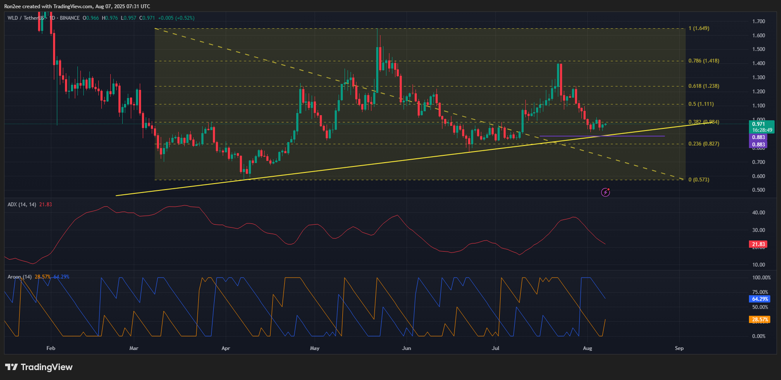 TOSHI and WLD rally amid Binance.US listing, how high can these tokens go?
