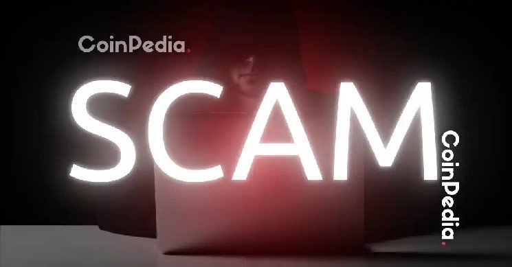 Erik Bergman Loses $1.25M in Fake MrBeast Crypto Scam After Team Water Pledge