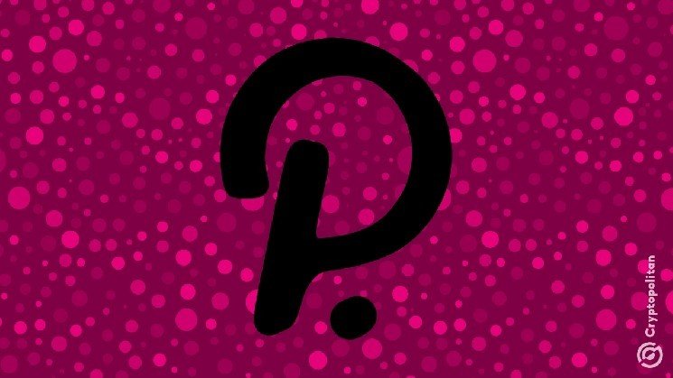 Polkadot has launched Polkadot Capital Group, bringing capital markets division to Wall Street