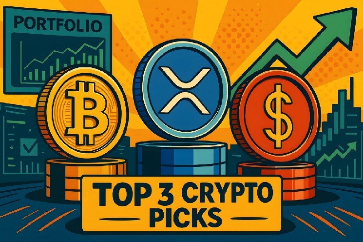 Top 3 Cryptos to Add to Your Portfolio Right Now