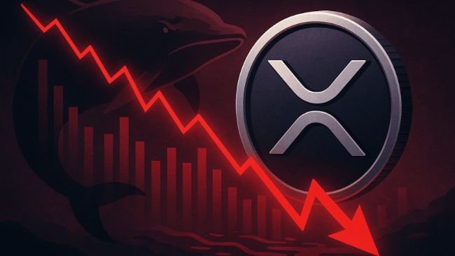 Whale Sell-Off and ETF Uncertainty Drag XRP Lower: Is $2.8 Just a Stop Before Deeper Losses?