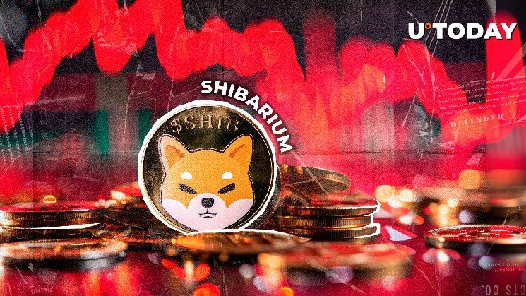 Shibarium Daily Transactions Suddenly Drop 22%, What's Happening?