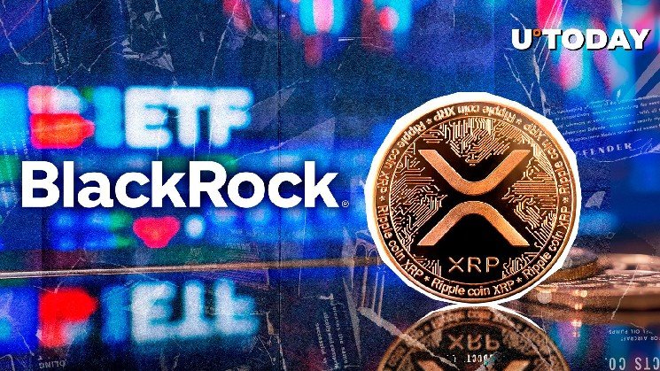 BlackRock's 'No' on XRP ETF Might Not Last, Says President of ETF Store BlackRock's 'No' on XRP ETF Might Not Last, Says President of ETF Store