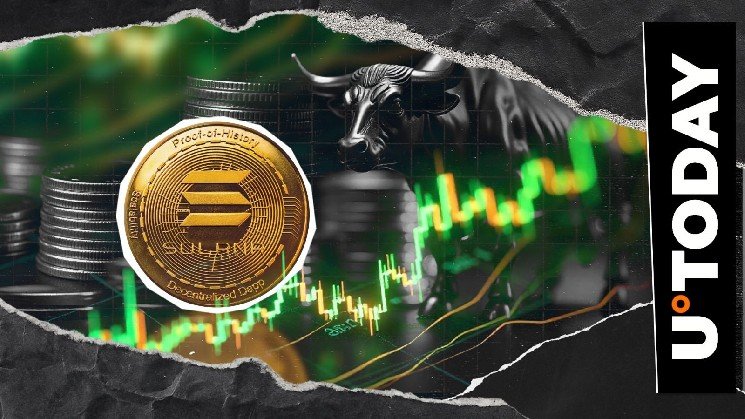 3,276.05% Solana Liquidation Imbalance Bulls Out Amid Crypto Bloodbath - U.Today