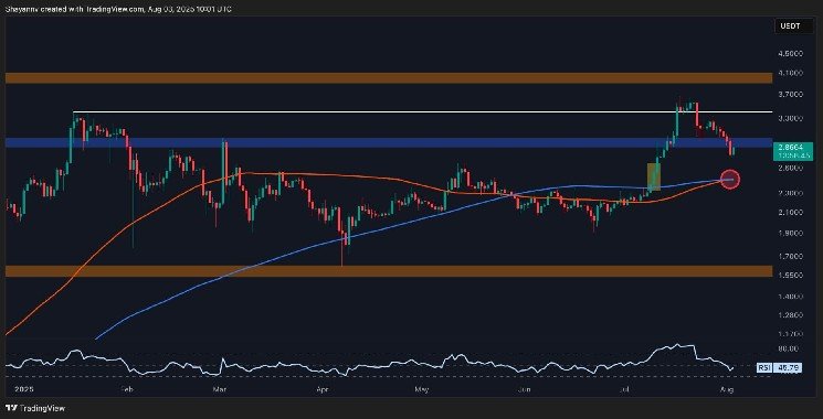 Ripple Price Analysis: These Are XRP&rsquo;s Next Defense Lines After a Breakdown Below $3