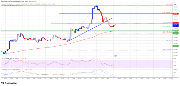 Bitcoin Price Eases From Highs&mdash;Bounce Back on the Horizon?