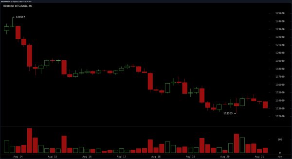 Bitcoin Price Watch: Is $112K the Last Line of Defense?
