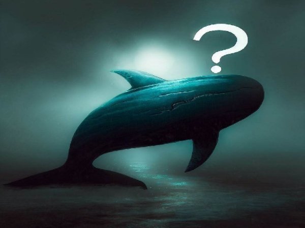 Giant Whale Opened Short Positions in Bitcoin, Ethereum, XRP, and Solana Just Before the Drop &ndash; Here&rsquo;s the Current Profit