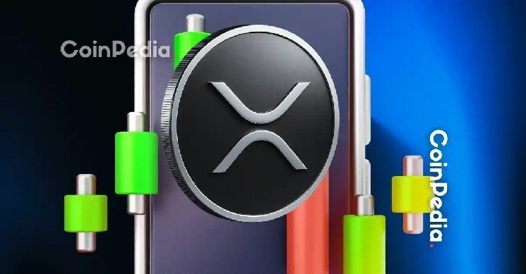 Bill Morgan Reveals More Public Companies Adding XRP to Their Reserves