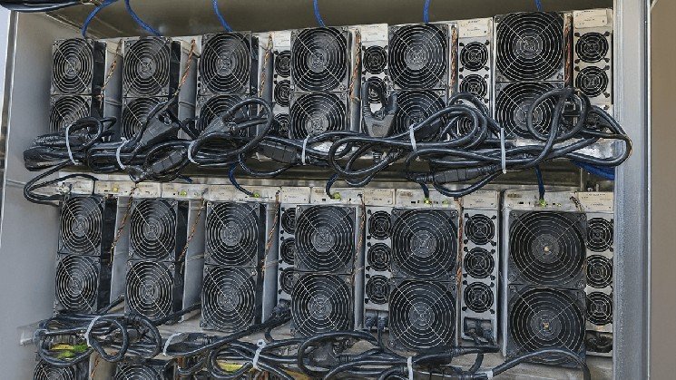 Inside the Powerhouse: The 50 Most Profitable Bitcoin Miners, Aug. 9-10, 2025