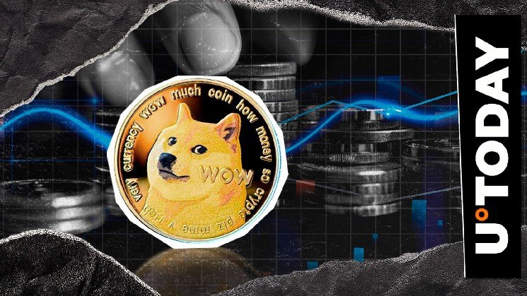 Dogecoin Has No New Token: Key Clarification Made for Community