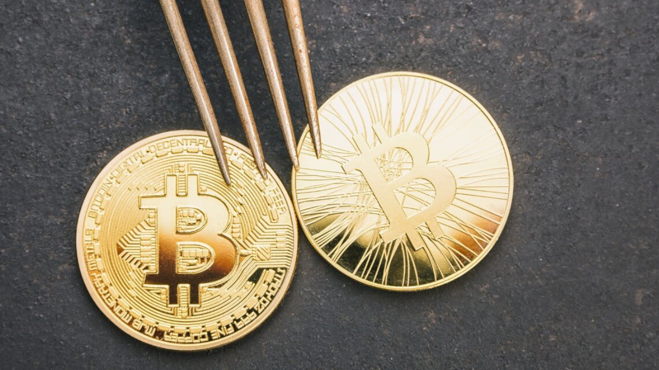 What is a Fork in Crypto? What is a Fork in Crypto?
