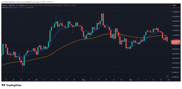 Expert Prediction: Bitcoin Price Could Hit $200,000 By June 2026, Claiming 50% Probability