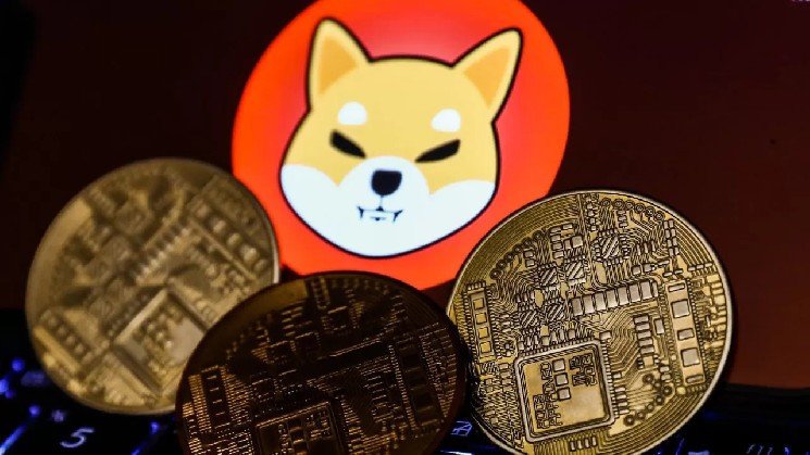 Hacker Attack on Shiba Inu (SHIB) Network: Developers Issue Statement Hacker Attack on Shiba Inu (SHIB) Network: Developers Issue Statement