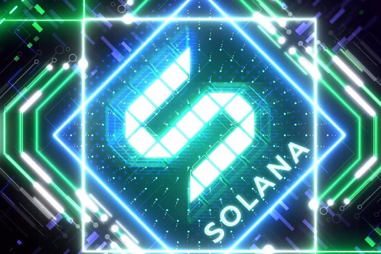 Amount of Solana (SOL) Held by Major Institutional Whales Has Been Revealed, Are They Accumulating? Here Are the Latest Data