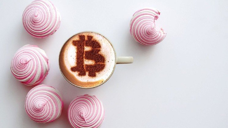 Cake Reveals Challenge to Hardware Wallets: Cupcake Turns Spare Phones Into Free, Air‑gapped Cold Storage Cake Reveals Challenge to Hardware Wallets: Cupcake Turns Spare Phones Into Free, Air‑gapped Cold Storage