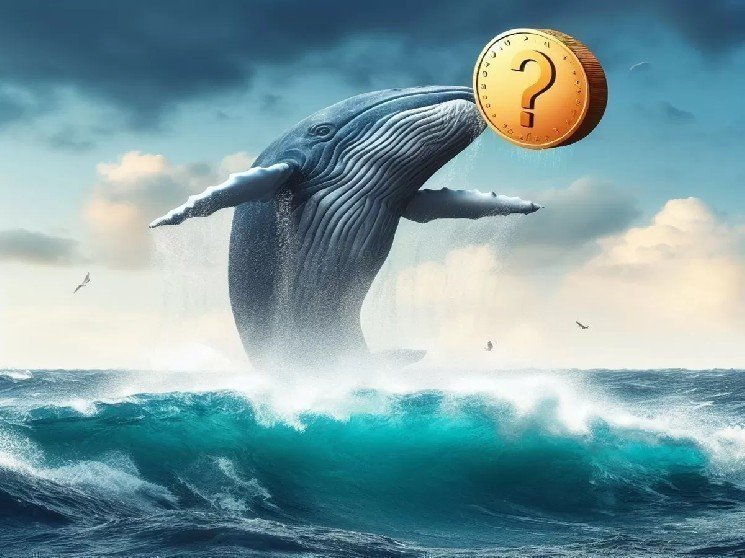 Whales Have Been Very Active in Recent Hours: Here Are the Altcoins They Bought and Sold Whales Have Been Very Active in Recent Hours: Here Are the Altcoins They Bought and Sold