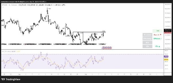 Bitcoin price prediction: BTC targets $117k as bullish sentiment grows