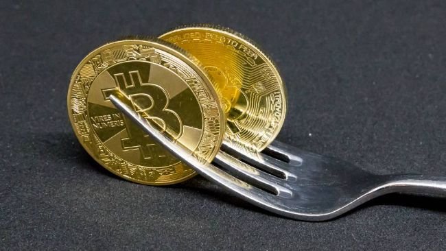 What is a Fork in Crypto? What is a Fork in Crypto?