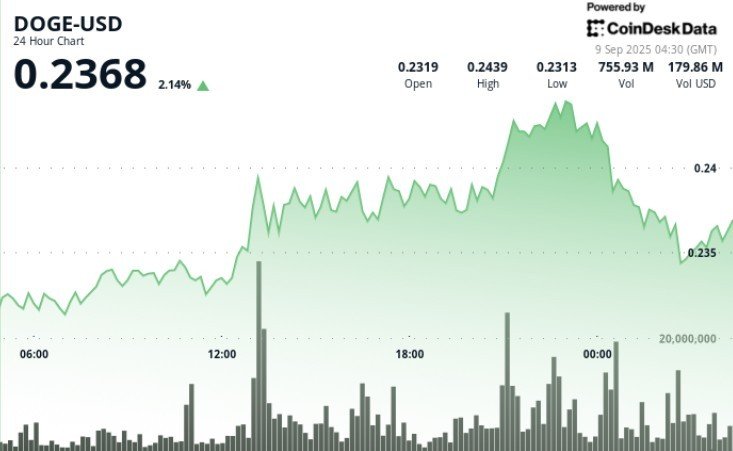 DOGE Price Action Shows 5.7% Swing as Traders Eye 25-Cents Target